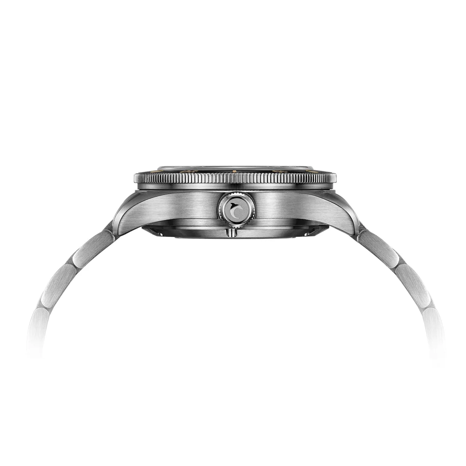 Aquatico Sea Star V2 Black Ceramic Bezel