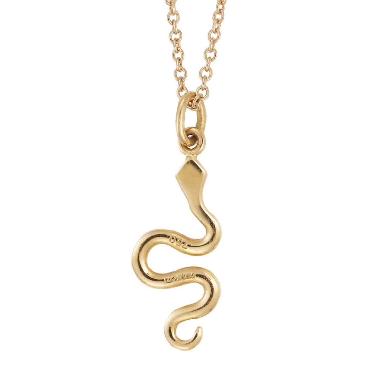 Little Snake Pendant P-Chd-Ru